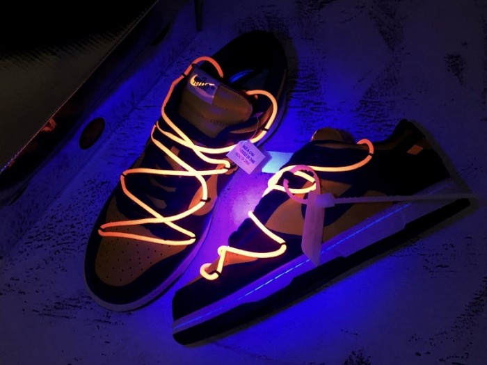 nike dunk low fw michigan - ct0856-700