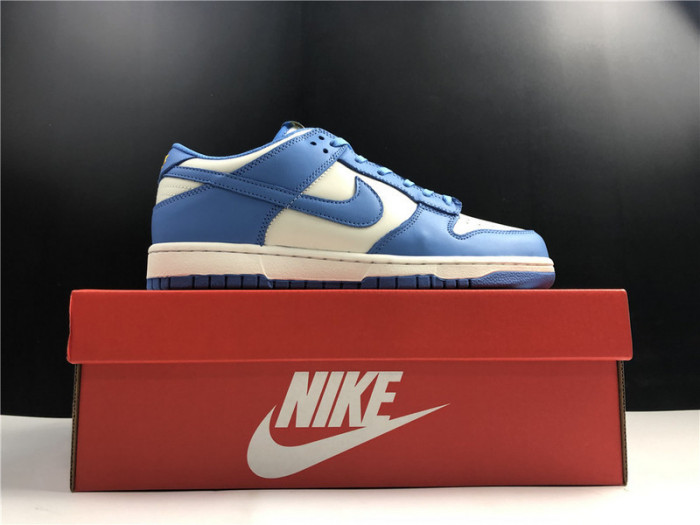 nike dunk low coast (w) dd1503-100