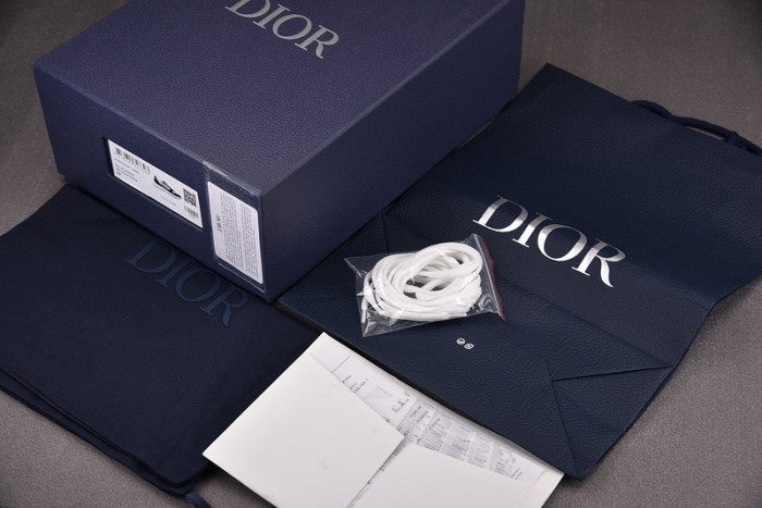 D1OR SNEAKERS B25 D2500004