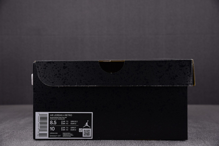 jordan 4 retro thunder (2023)