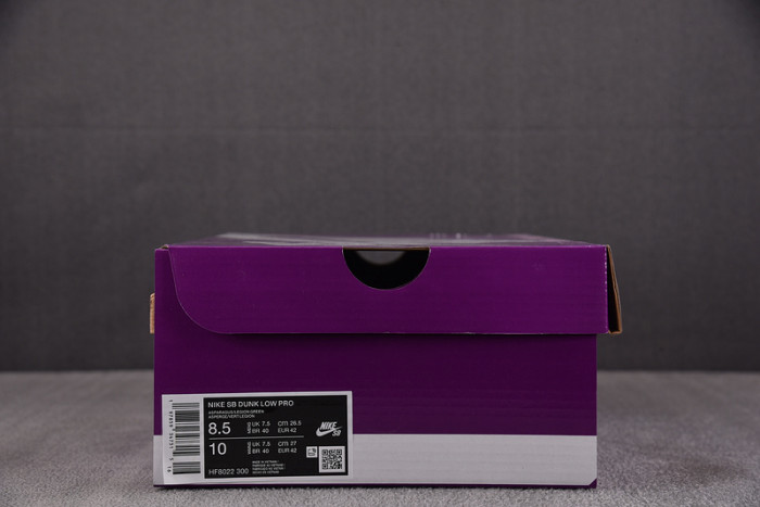 Yuto Horigome x Dunk Low SB 