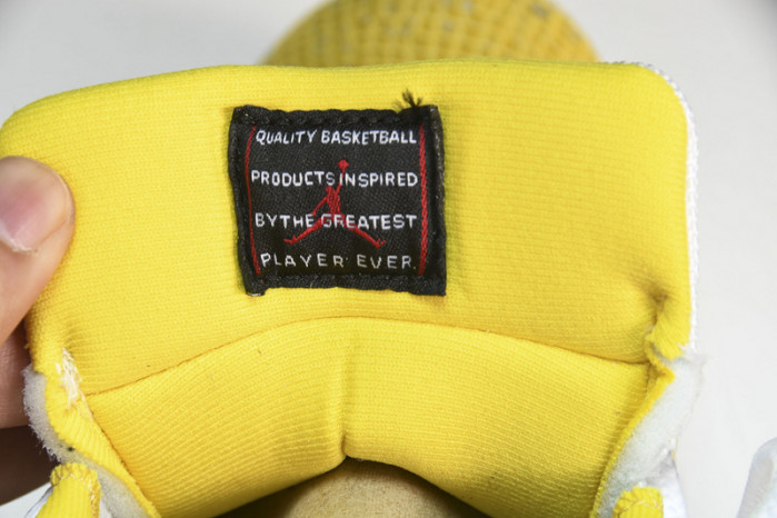 jordan 11 low “yellow snakeskin”