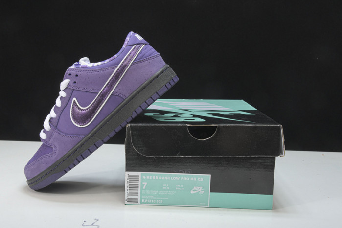 nike sb dunk low concepts purple lobster bv1310-555