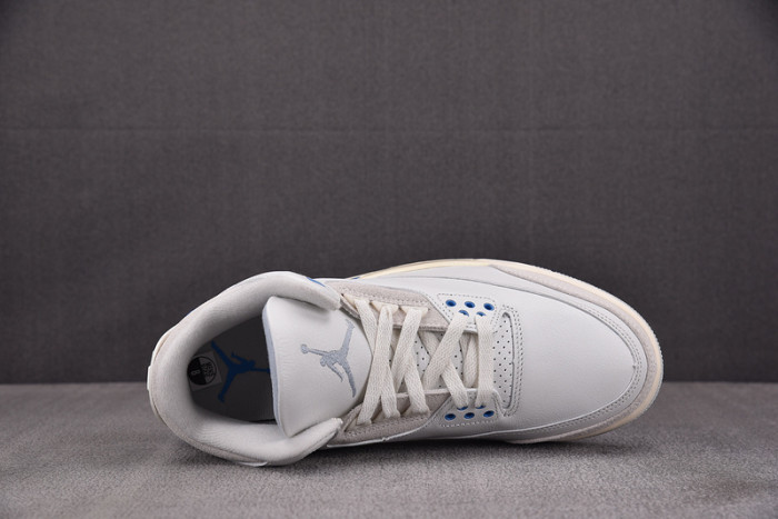 Jordan 3 Retro Lucky Shorts CT8532-101